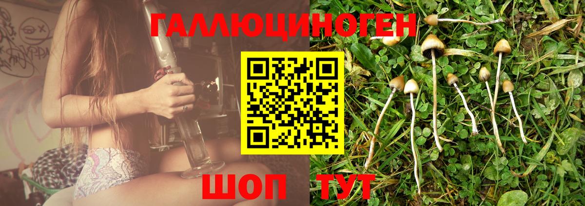 Азов  Псилоцибиновые грибы MAGIC MUSHROOMS  Вход с VPN 