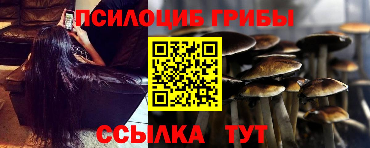 Галлюциногенные грибы Psilocybe Азов